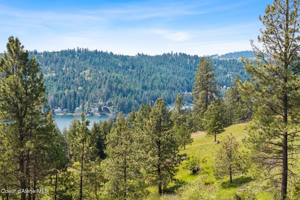 17771 S Carbon Ct, Coeur d'Alene, ID 83814 photo 8