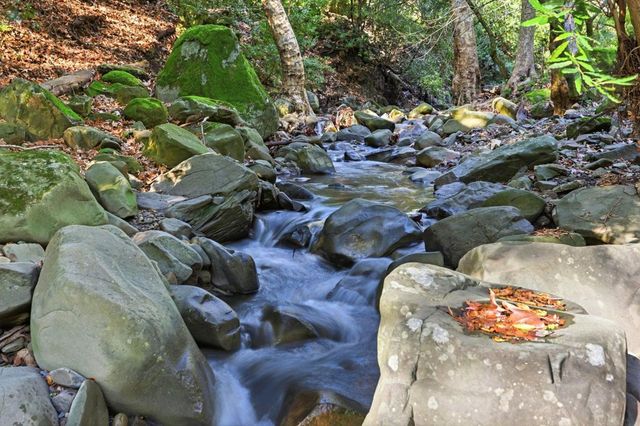 2397 Kilkare Rd, Sunol, CA 94586