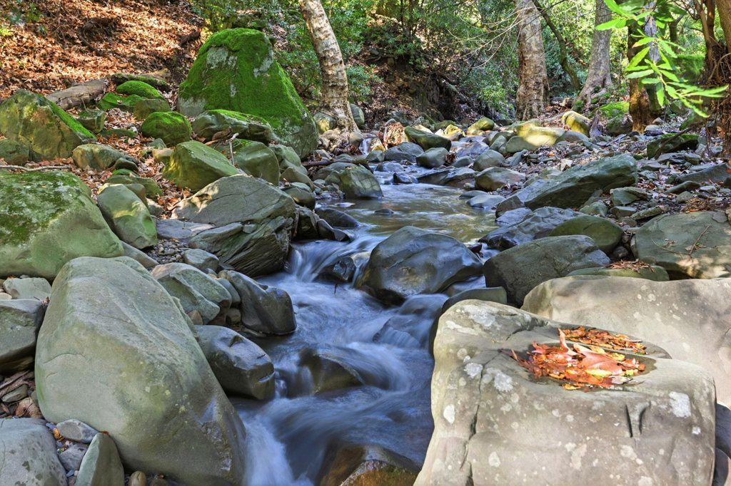 Image 9 of property listing at 2397 Kilkare Rd, Sunol, CA 94586