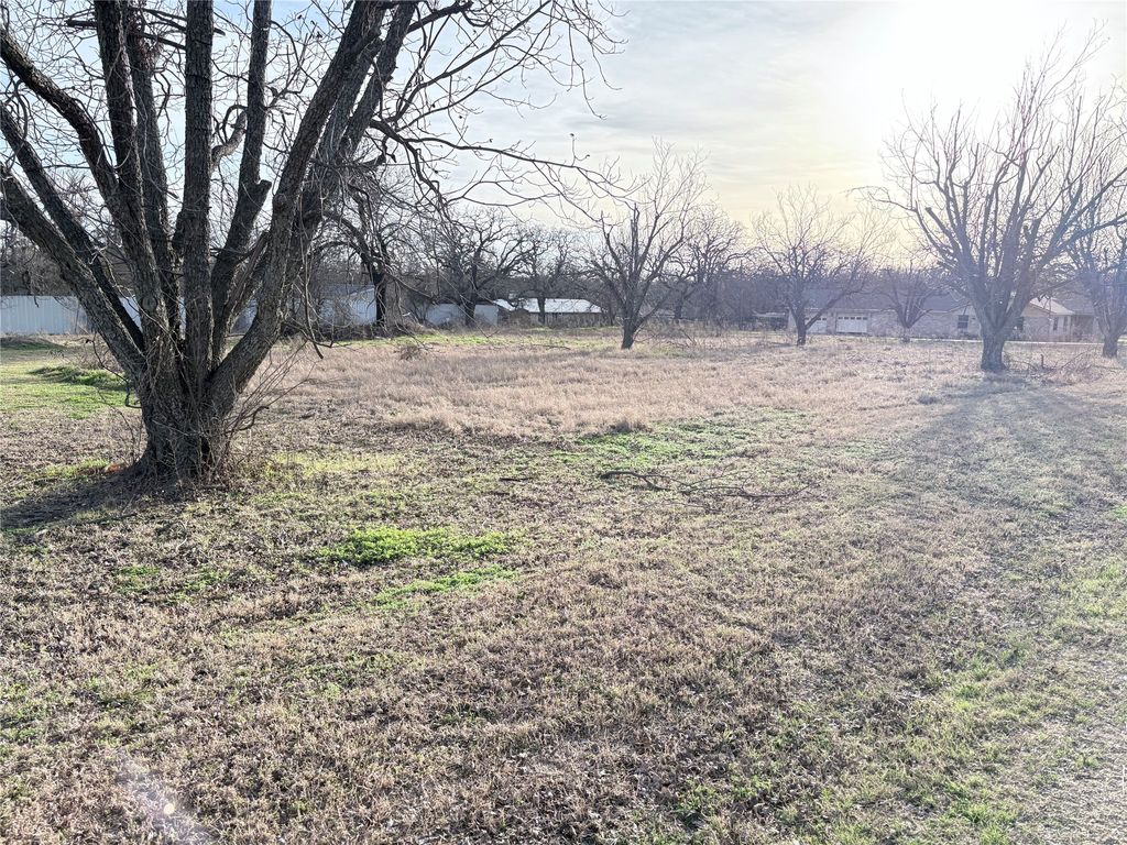 TBD Arlene Lane, Mineral Wells, TX 76067