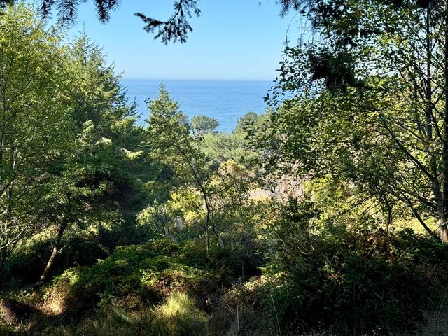 865 Upper Pacific Drive, Shelter Cove, CA 95589