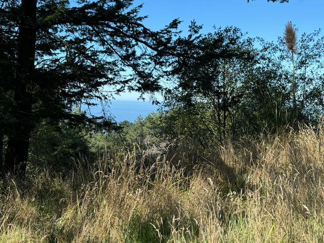 865 Upper Pacific Drive, Shelter Cove, CA 95589