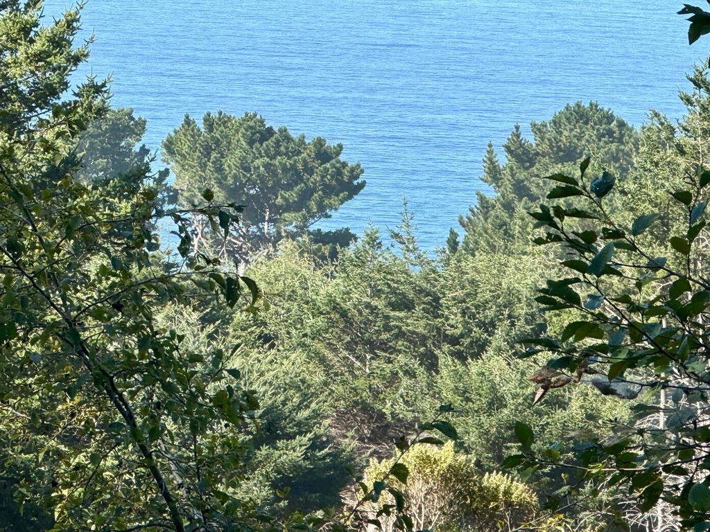 865 Upper Pacific Drive, Shelter Cove, CA 95589