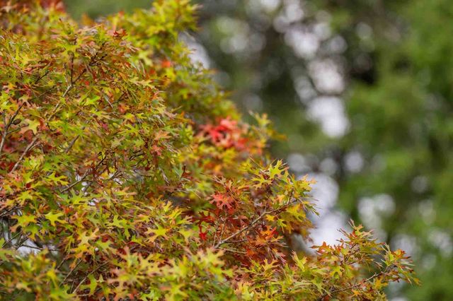 7625 N State Hwy 16, Fredericksburg, TX 78624