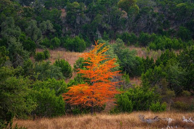 7625 N State Hwy 16, Fredericksburg, TX 78624