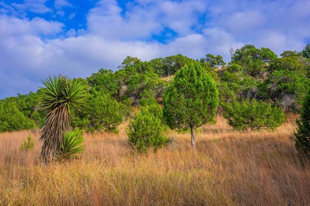 7625 N State Hwy 16, Fredericksburg, TX 78624