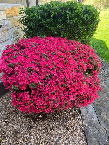 811 Heatherton DR, Covington, VA 24426