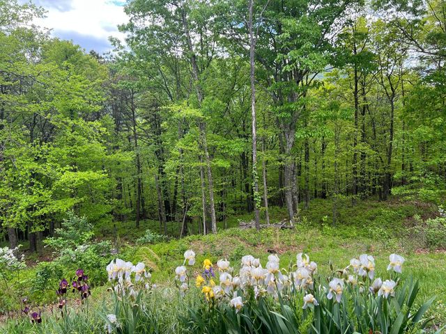 811 Heatherton DR, Covington, VA 24426