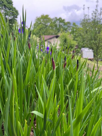 811 Heatherton DR, Covington, VA 24426