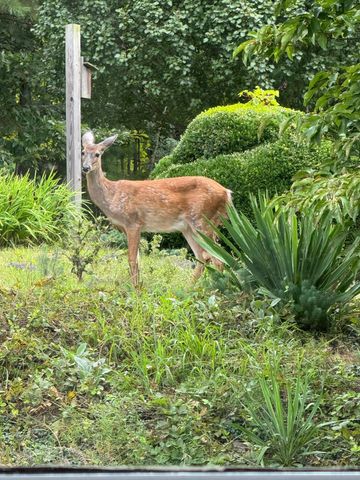 811 Heatherton DR, Covington, VA 24426