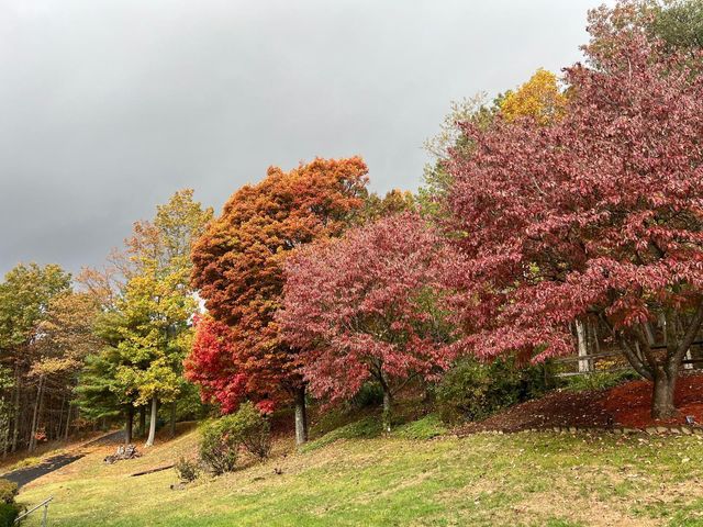 811 Heatherton DR, Covington, VA 24426