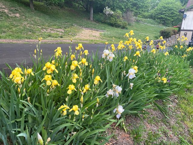 811 Heatherton DR, Covington, VA 24426