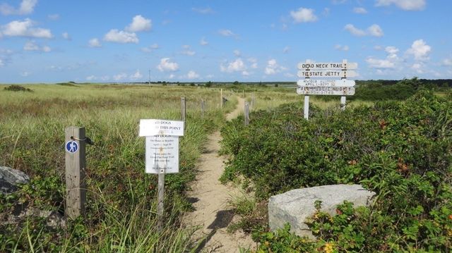 14 Hammock Pond Rd. 789, Mashpee, MA 02649