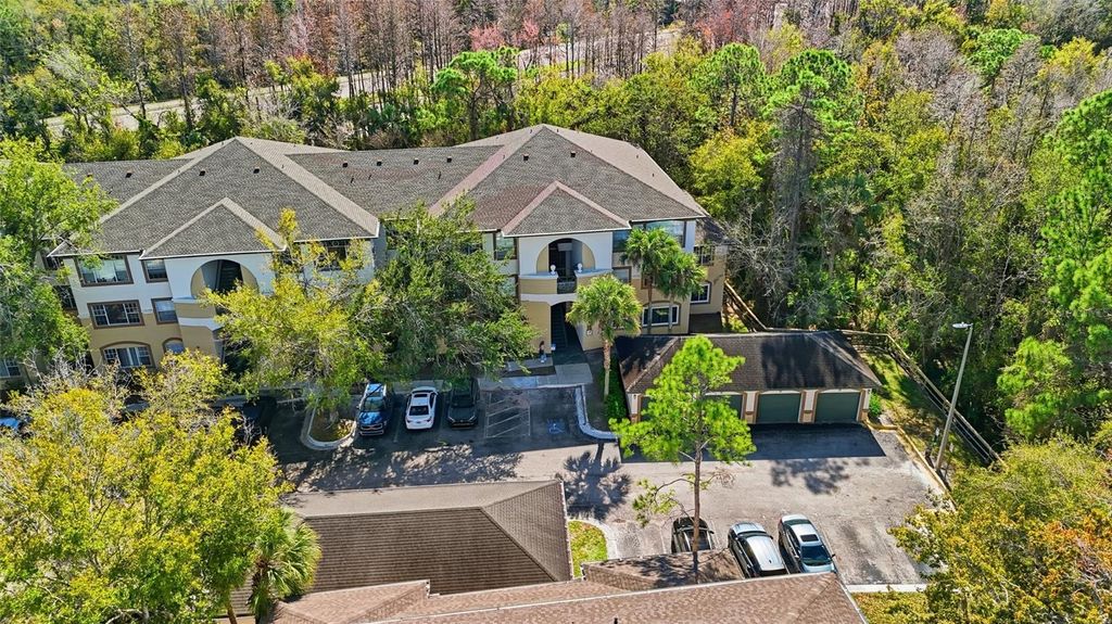 17106 CARRINGTON PARK DRIVE 623, Tampa, FL 33647