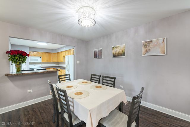 3023 N Paris Avenue 206, River Grove, IL 60171