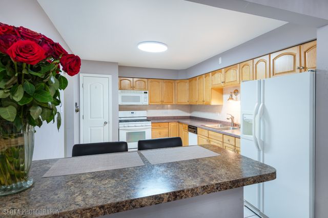 3023 N Paris Avenue 206, River Grove, IL 60171
