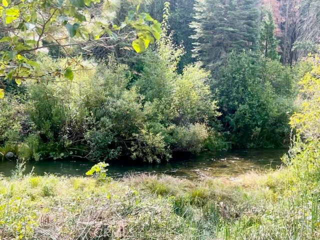 7404 Meadow Creek, Butte Meadows, CA 95942