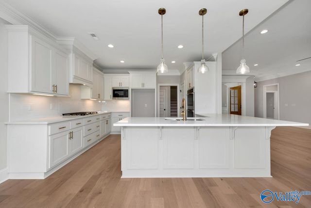 8063 Goose Ridge Drive, Owens Cross Roads, AL 35763