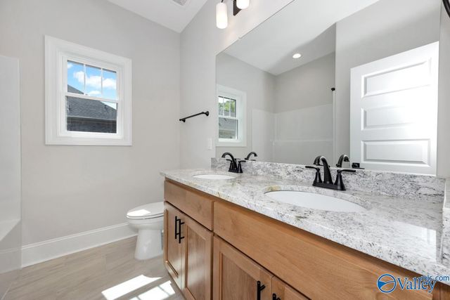 8063 Goose Ridge Drive, Owens Cross Roads, AL 35763