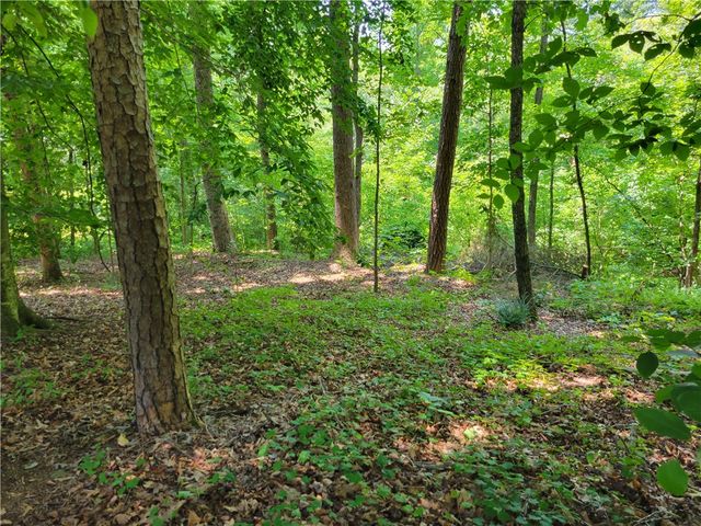 00 Fox Fire Road, Central, SC 29630