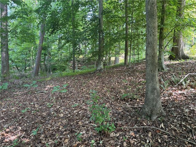 00 Fox Fire Road, Central, SC 29630