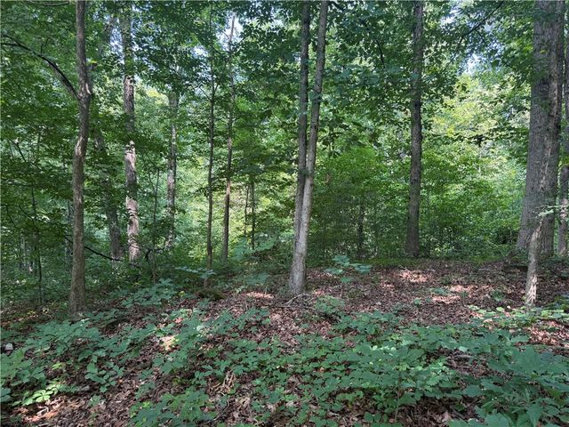 00 Fox Fire Road, Central, SC 29630