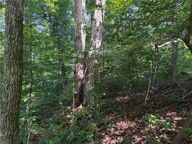00 Fox Fire Road, Central, SC 29630