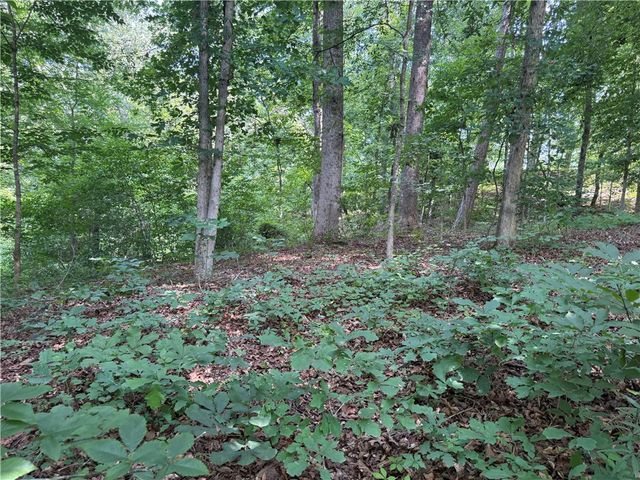 00 Fox Fire Road, Central, SC 29630