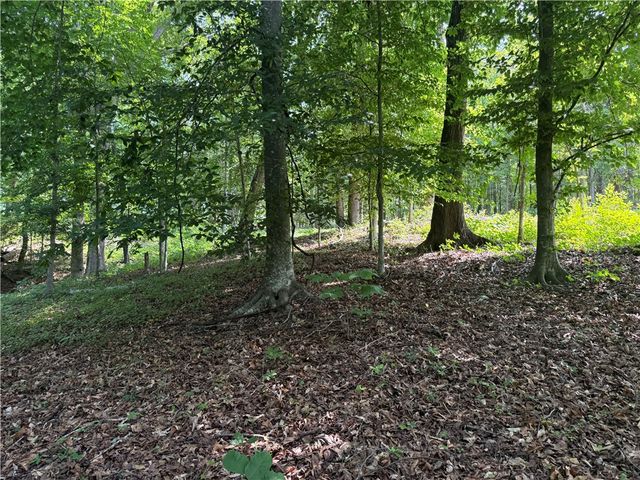 00 Fox Fire Road, Central, SC 29630