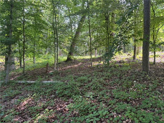 00 Fox Fire Road, Central, SC 29630
