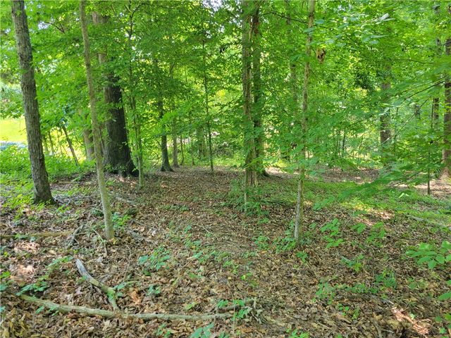 00 Fox Fire Road, Central, SC 29630
