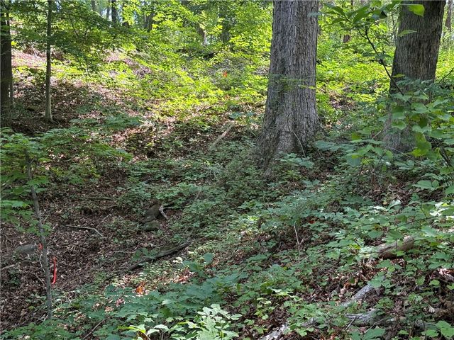 00 Fox Fire Road, Central, SC 29630