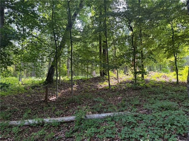 00 Fox Fire Road, Central, SC 29630