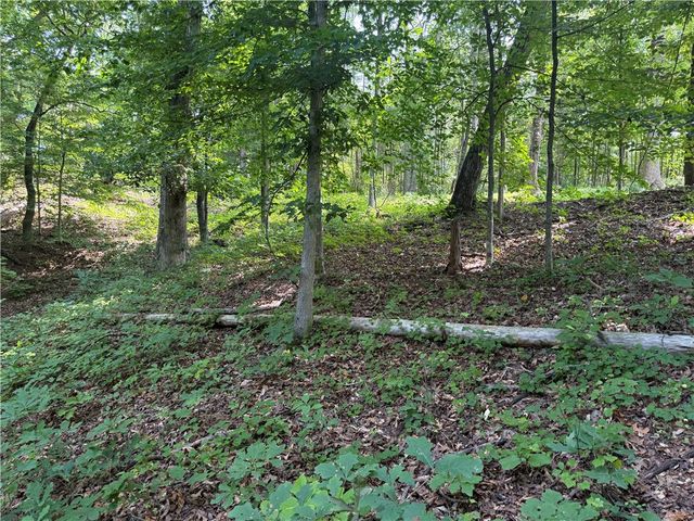 00 Fox Fire Road, Central, SC 29630