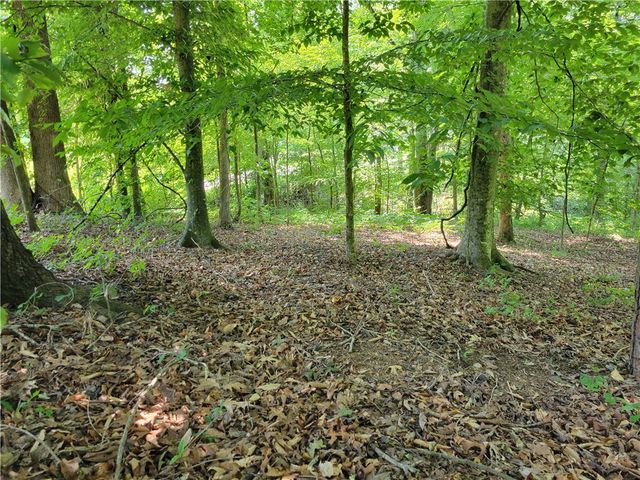00 Fox Fire Road, Central, SC 29630