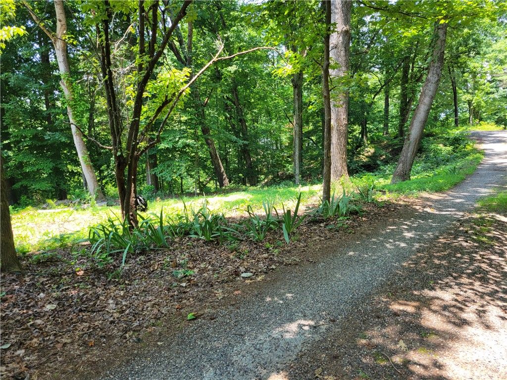 00 Fox Fire Road, Central, SC 29630