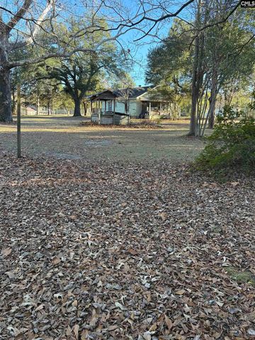 124 Mount Pilgrim Church Road, Columbia, SC 29223