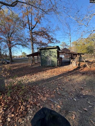 124 Mount Pilgrim Church Road, Columbia, SC 29223