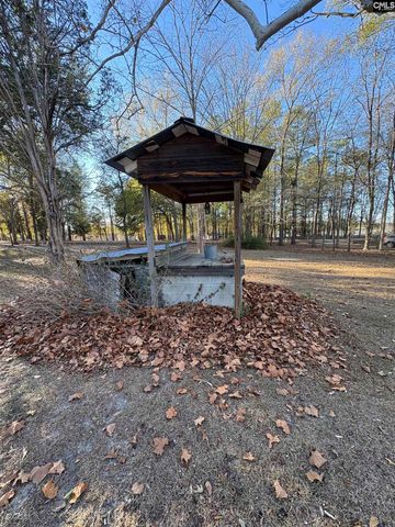 124 Mount Pilgrim Church Road, Columbia, SC 29223