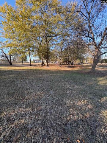 124 Mount Pilgrim Church Road, Columbia, SC 29223