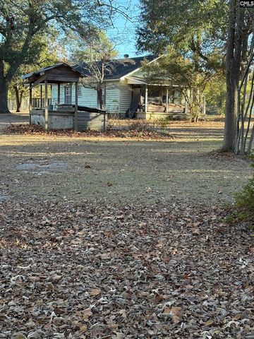 124 Mount Pilgrim Church Road, Columbia, SC 29223