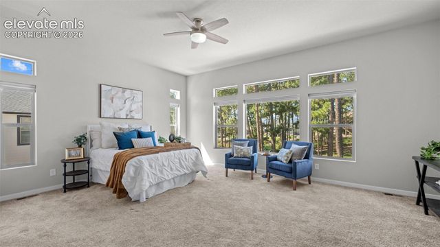 16298 Forest Cloud Way, Monument, CO 80132