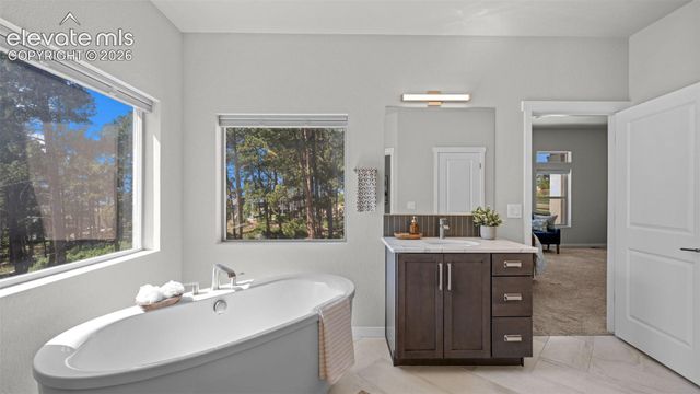 16298 Forest Cloud Way, Monument, CO 80132