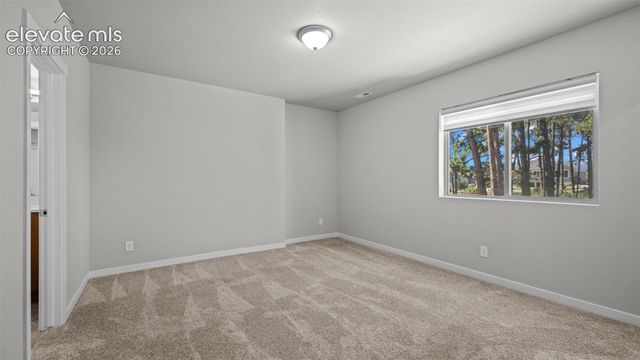 16298 Forest Cloud Way, Monument, CO 80132