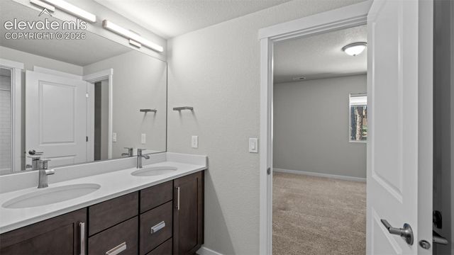 16298 Forest Cloud Way, Monument, CO 80132