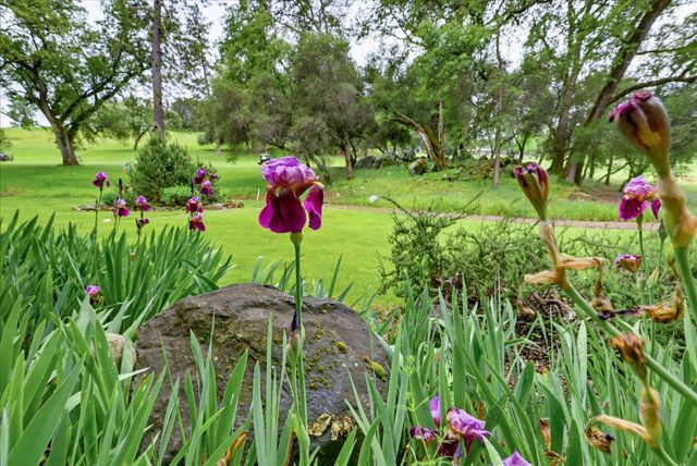 11775 Lake Wildwood Dr, Penn Valley, CA 95946