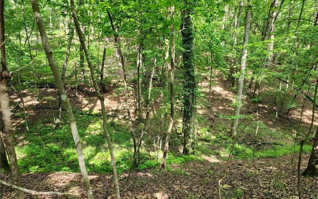 0 Oneida Circle, Ellijay, GA 30540