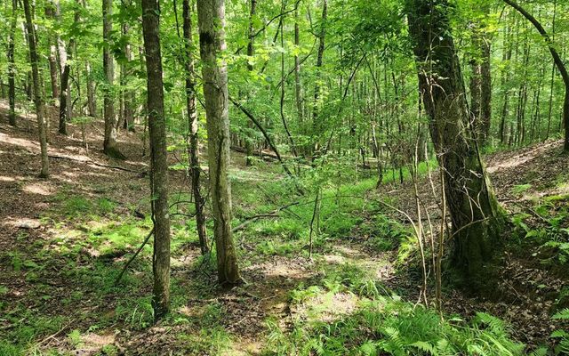 0 Oneida Circle, Ellijay, GA 30540