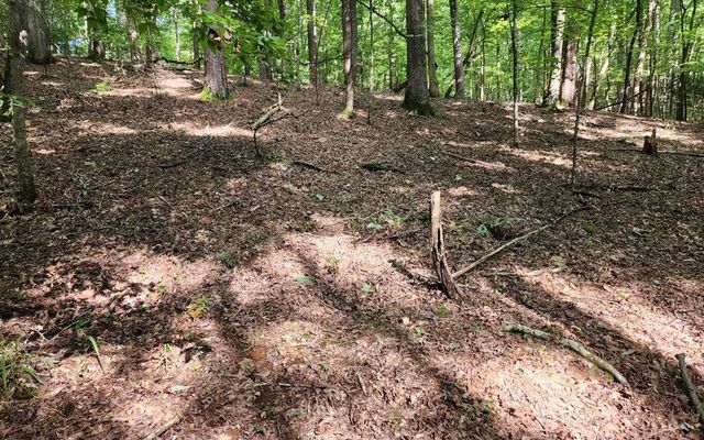 0 Oneida Circle, Ellijay, GA 30540