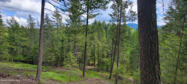 492 Stellar Jay Rd, Bonners Ferry, ID 83805